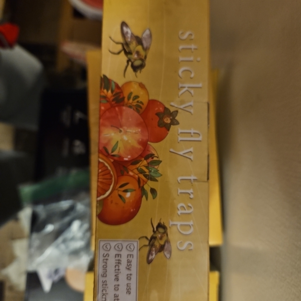 Sticky Fly Traps - 40 Count - Picture 2 of 4
